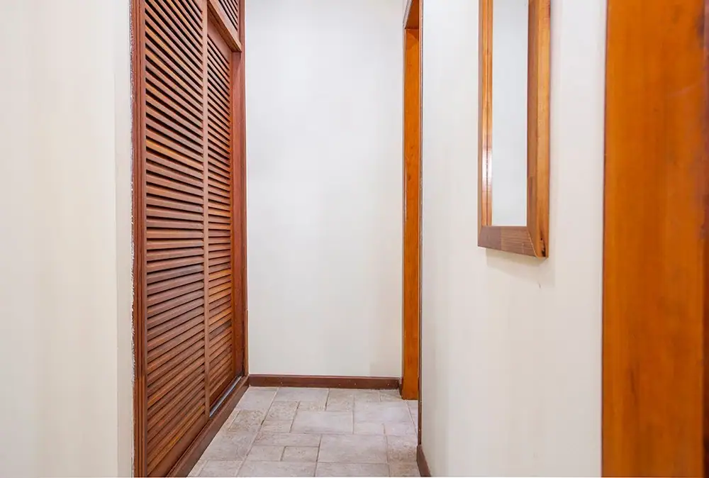 Door and walk-in closet in the Apartment