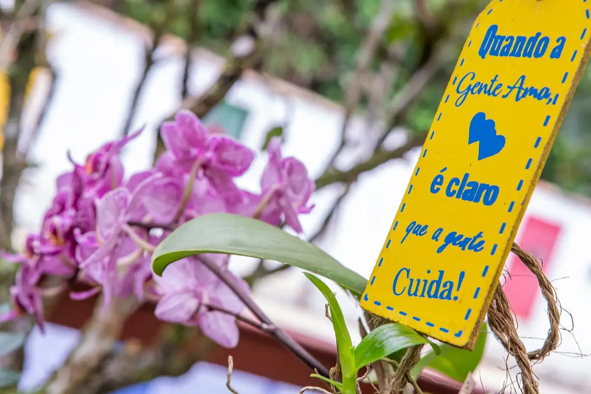 Orchids and a small welcome sign