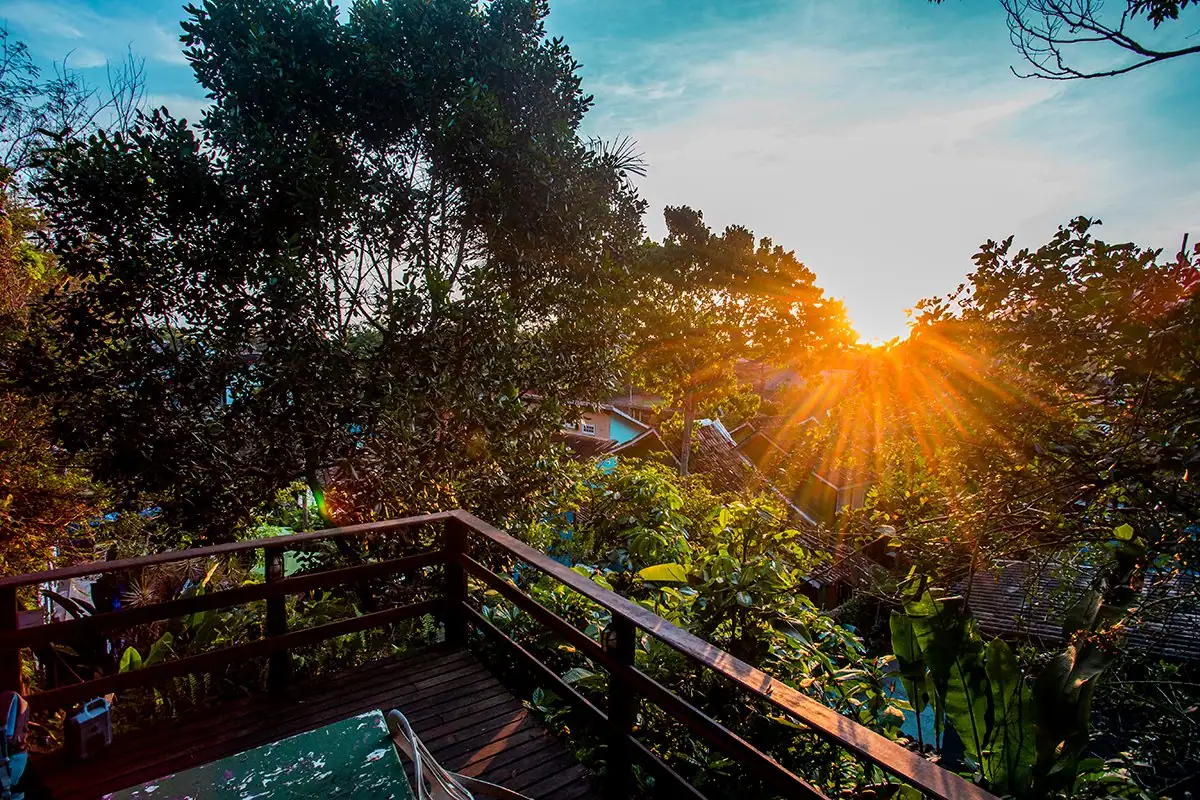 Sun setting behind the forest, seen from the lookout